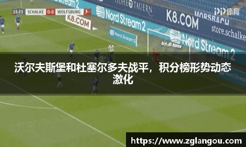沃尔夫斯堡和杜塞尔多夫战平，积分榜形势动态激化