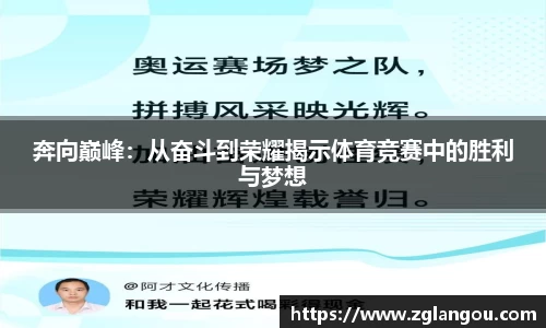 奔向巅峰：从奋斗到荣耀揭示体育竞赛中的胜利与梦想