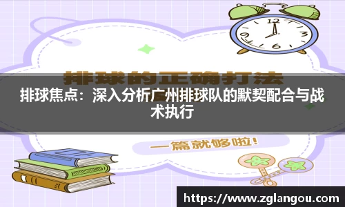 排球焦点：深入分析广州排球队的默契配合与战术执行