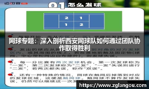 网球专题：深入剖析西安网球队如何通过团队协作取得胜利