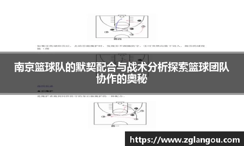 南京篮球队的默契配合与战术分析探索篮球团队协作的奥秘
