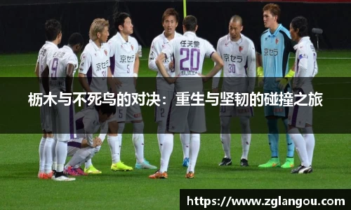 枥木与不死鸟的对决：重生与坚韧的碰撞之旅